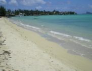 Les Brindilles-Ile Maurice-plage